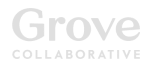 Success Stories - Grove lp c Grove